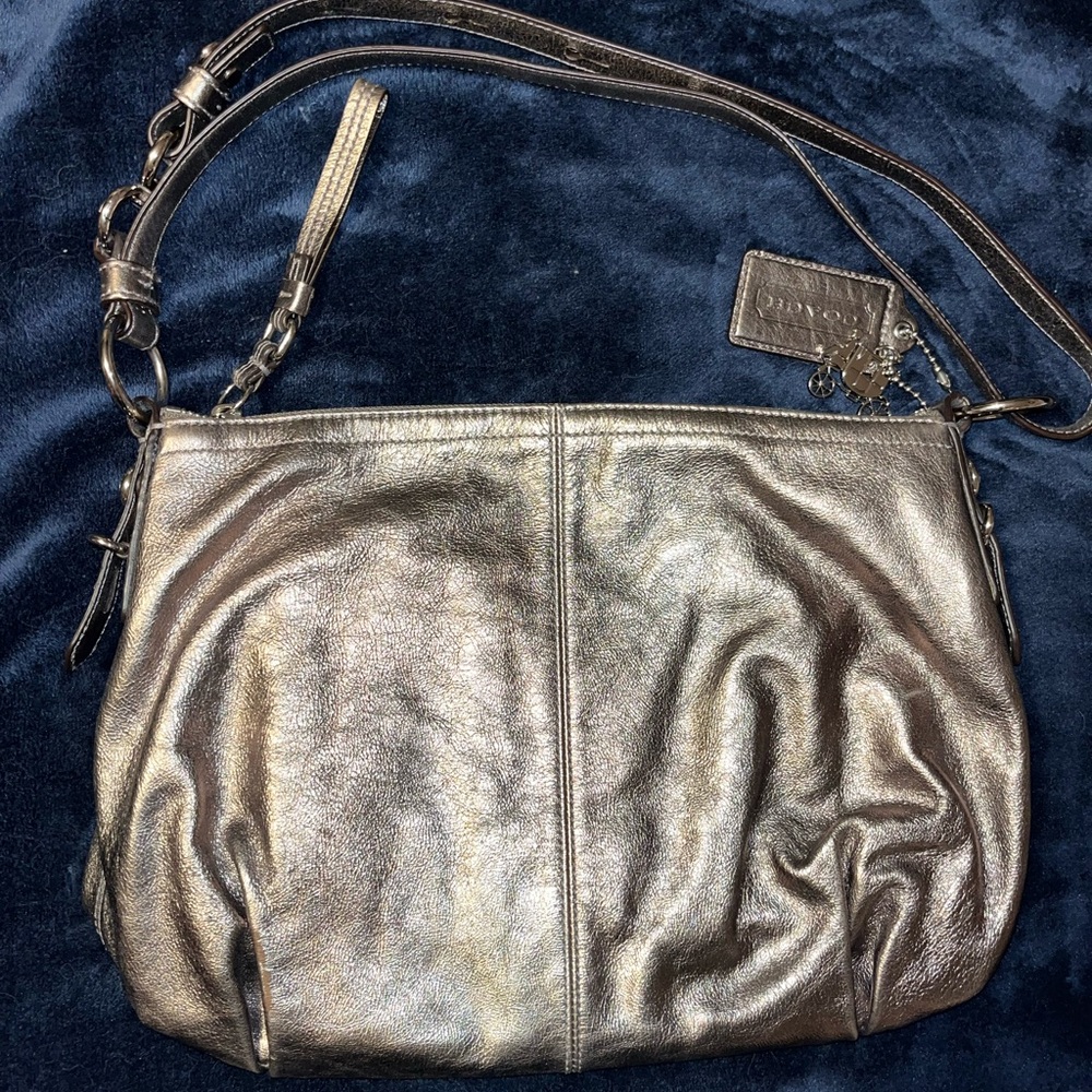 Coach Metallic Hobo Bag